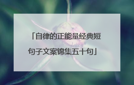 自律的正能量经典短句子文案锦集五十句