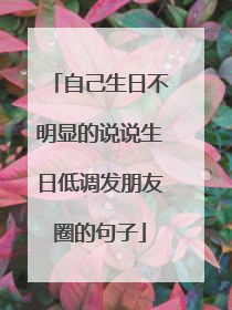 自己生日不明显的说说生日低调发朋友圈的句子