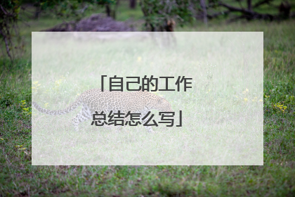 自己的工作总结怎么写