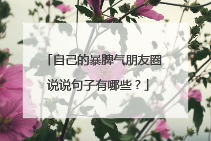 自己的暴脾气朋友圈说说句子有哪些？