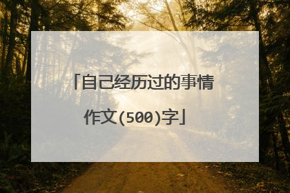 自己经历过的事情作文(500)字