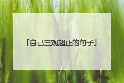 自己三观超正的句子