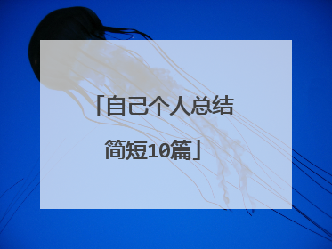 自己个人总结简短10篇