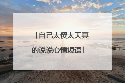 自己太傻太天真的说说心情短语
