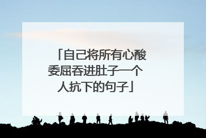 自己将所有心酸委屈吞进肚子一个人抗下的句子