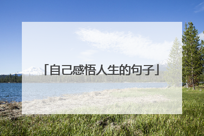 自己感悟人生的句子