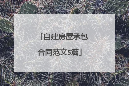 自建房屋承包合同范文5篇