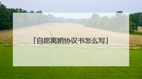 自愿离婚协议书怎么写
