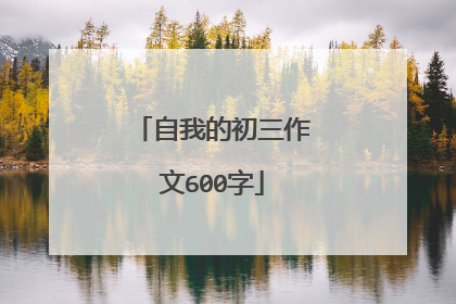 自我的初三作文600字