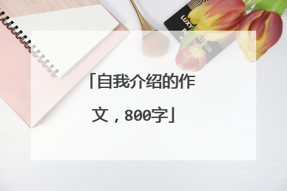 自我介绍的作文,800字