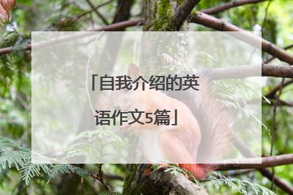自我介绍的英语作文5篇