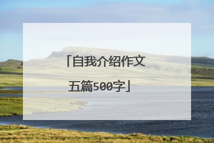 自我介绍作文五篇500字