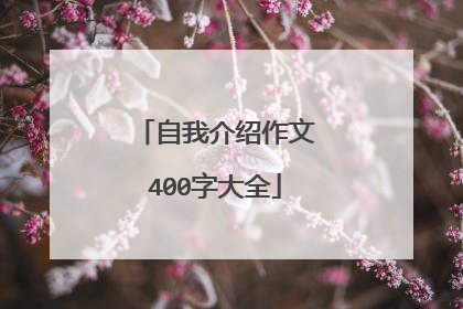 自我介绍作文400字大全