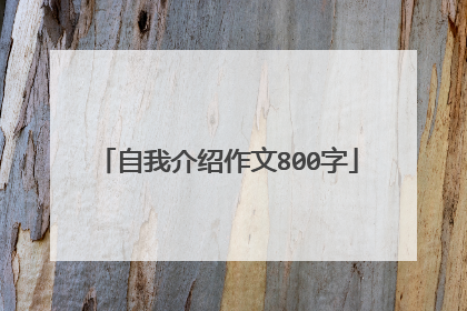自我介绍作文800字