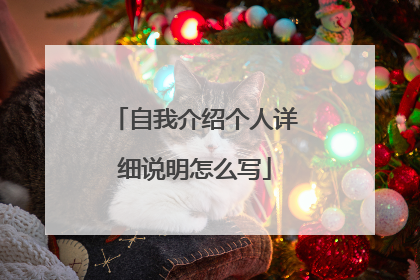 自我介绍个人详细说明怎么写