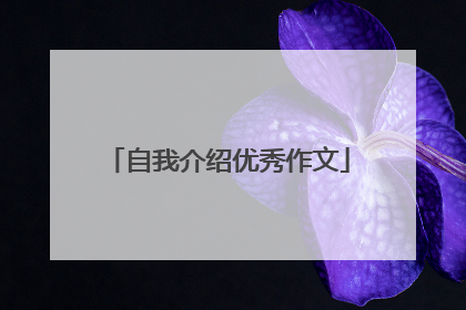 自我介绍优秀作文