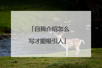 自我介绍怎么写才能吸引人