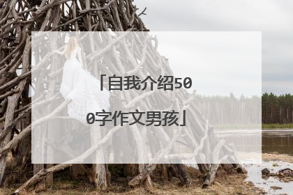 自我介绍500字作文男孩