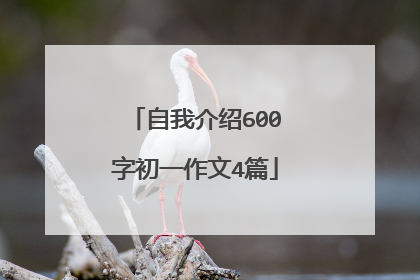 自我介绍600字初一作文4篇