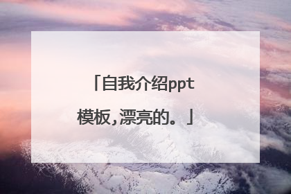自我介绍ppt模板,漂亮的。