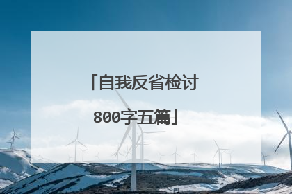 自我反省检讨800字五篇