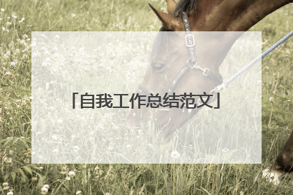 自我工作总结范文