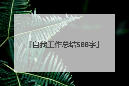 自我工作总结500字