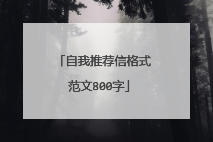 自我推荐信格式范文800字