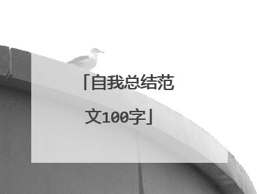 自我总结范文100字
