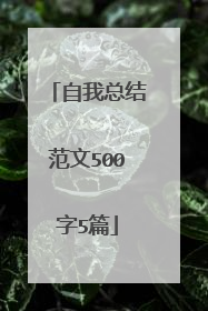 自我总结范文500字5篇
