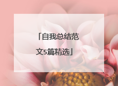 自我总结范文5篇精选