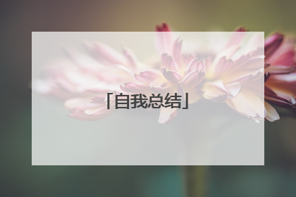 自我总结
