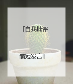 自我批评简短发言