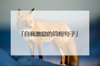 自我激励的简短句子