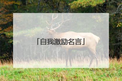 自我激励名言
