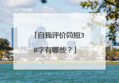 自我评价简短30字有哪些？