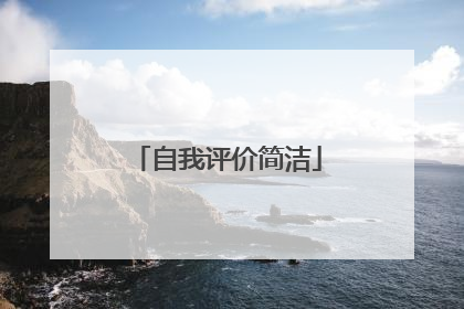 自我评价简洁
