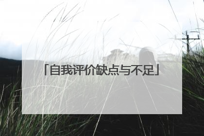 自我评价缺点与不足