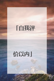 自我评价以内