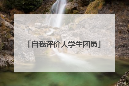 自我评价大学生团员