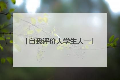 自我评价大学生大一