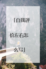 自我评价左右怎么写