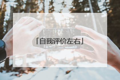 自我评价左右