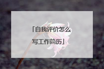 自我评价怎么写工作简历