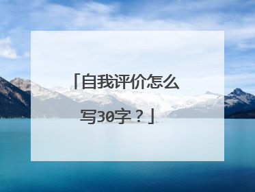 自我评价怎么写30字？