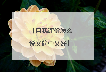 自我评价怎么说又简单又好