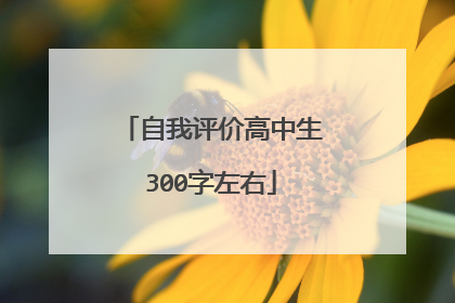 自我评价高中生300字左右