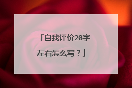 自我评价20字左右怎么写？