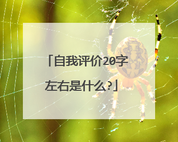 自我评价20字左右是什么?