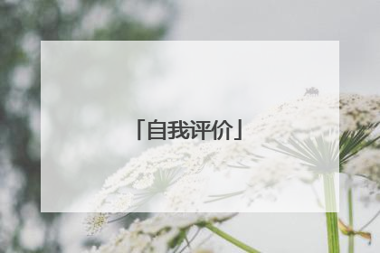 自我评价